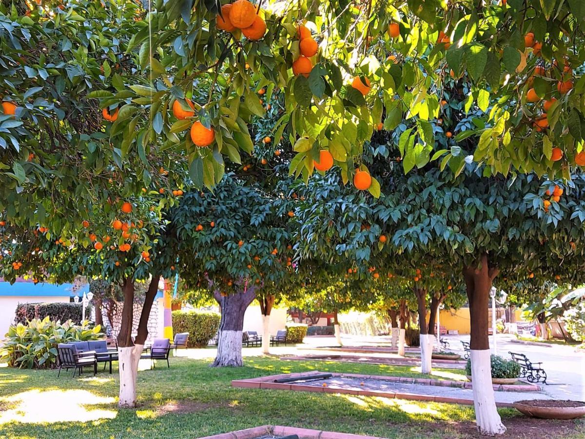 Cetinel Otel Adana Esterno foto