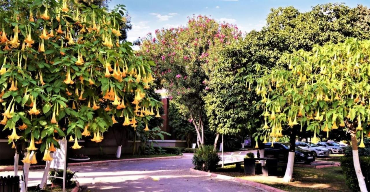 Cetinel Otel Adana Esterno foto